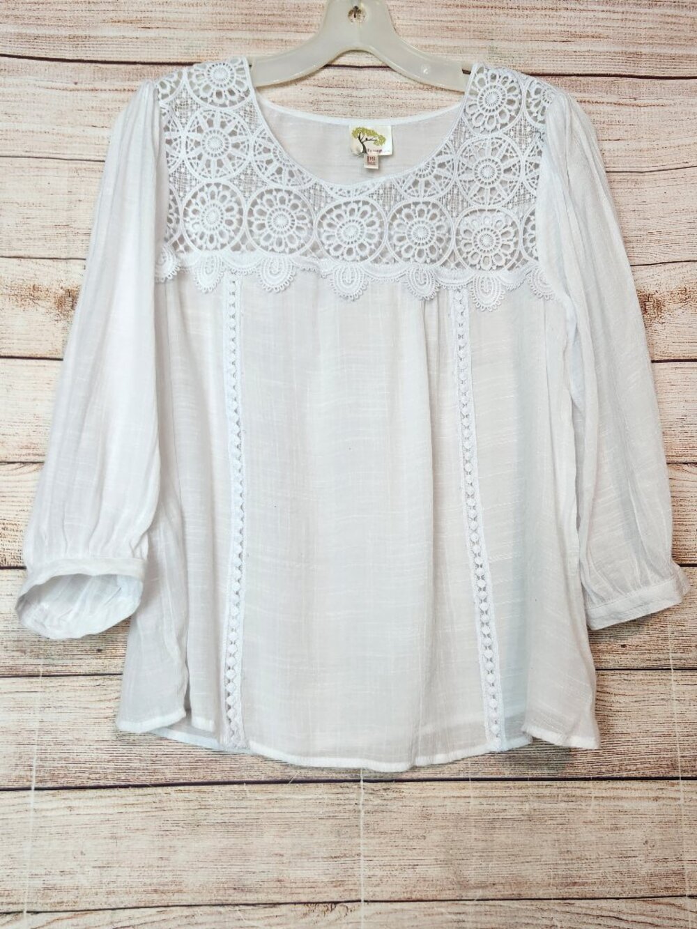 Fig & Flower Women's Blouse Lace Yoke Neckline Size S/P Off White Sheer Top